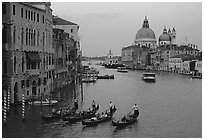 Gondolas, Grand Canal, Santa Maria della Salute church from the Academy Bridge,  sunset. Venice, Veneto, Italy ( black and white)