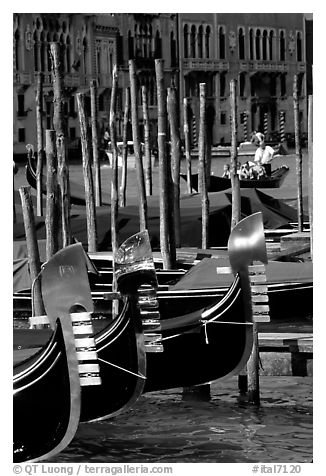 Gondolas prows, with their characteristic ferri. Venice, Veneto, Italy (black and white)