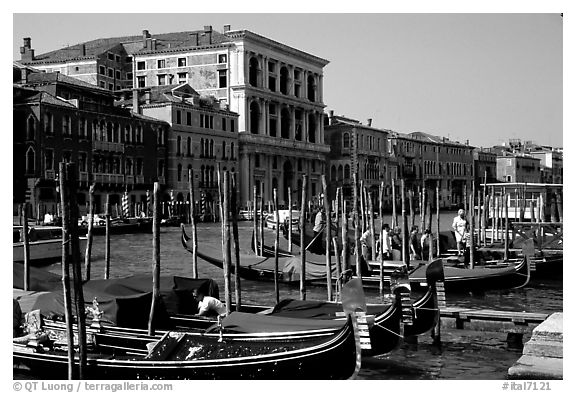 Parked gondolas on the the Grand Canal. Venice, Veneto, Italy (black and white)