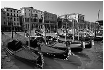 Row of gondolas covered with blue tarps, the Grand Canal. Venice, Veneto, Italy ( black and white)