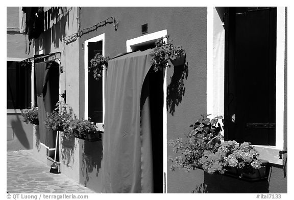 Multicolored houses and flowers,  Burano. Venice, Veneto, Italy (black and white)