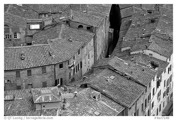 Rooftops seen from Torre del Mangia. Siena, Tuscany, Italy