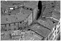 Rooftops seen from Torre del Mangia. Siena, Tuscany, Italy (black and white)