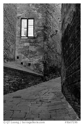 Street and window at dawn. Siena, Tuscany, Italy