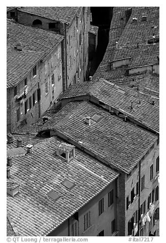 Rooftops seen from Torre del Mangia. Siena, Tuscany, Italy (black and white)