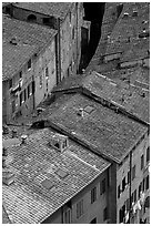 Rooftops seen from Torre del Mangia. Siena, Tuscany, Italy ( black and white)