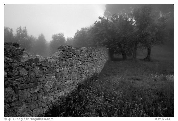 Stone wall. San Gimignano, Tuscany, Italy (black and white)