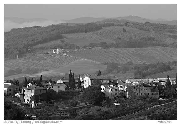 Countryside around the town. San Gimignano, Tuscany, Italy (black and white)