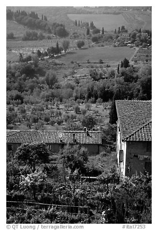 Gardens and contryside  on the periphery of the town. San Gimignano, Tuscany, Italy (black and white)