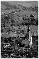 Gardens and contryside  on the periphery of the town. San Gimignano, Tuscany, Italy (black and white)