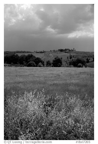 Field and distant village under storm skies. Tuscany, Italy