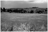Countryside. Tuscany, Italy (black and white)