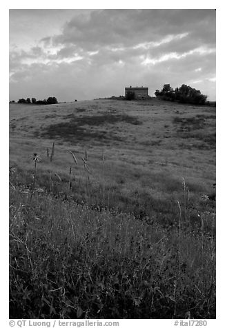 Spring wildflowers and house on hill. Tuscany, Italy (black and white)