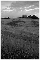 Spring wildflowers and house on hill. Tuscany, Italy (black and white)