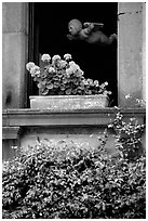 Window with flowers. Orvieto, Umbria (black and white)