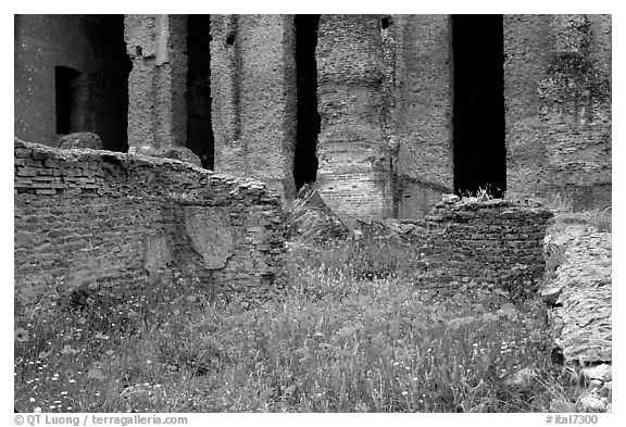 Red poppies and ruins of the Praetorium, Villa Adriana. Tivoli, Lazio, Italy (black and white)