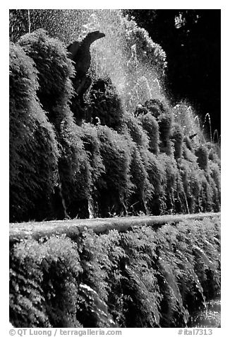 Fountains in the garden of Villa d'Este. Tivoli, Lazio, Italy (black and white)