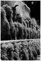 Fountains in the garden of Villa d'Este. Tivoli, Lazio, Italy (black and white)