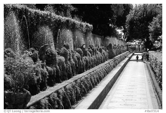 Alley lined with fountains, Villa d'Este. Tivoli, Lazio, Italy (black and white)