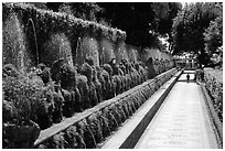 Alley lined with fountains, Villa d'Este. Tivoli, Lazio, Italy ( black and white)