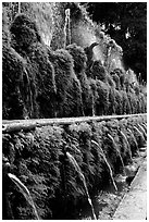 Alley lined with fountains, Villa d'Este. Tivoli, Lazio, Italy (black and white)