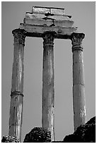 Casa delle Vestali (House of the Vestal Virgins), Roman Forum. Rome, Lazio, Italy ( black and white)