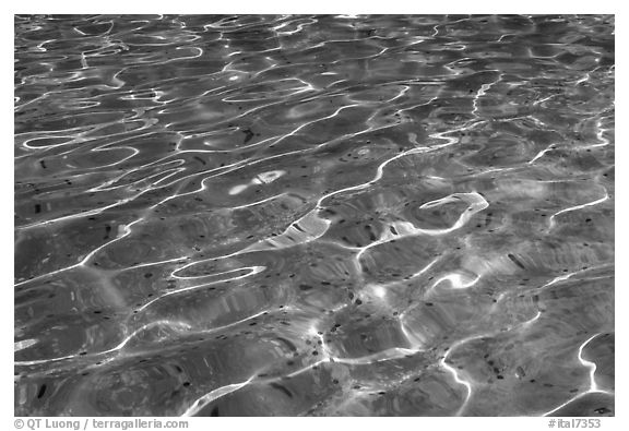 Water reflections, and coins lying in the Trevi Fountain. Rome, Lazio, Italy (black and white)