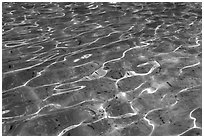 Water reflections, and coins lying in the Trevi Fountain. Rome, Lazio, Italy (black and white)