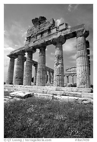 Ruins of Greek Temple of Ceres. Campania, Italy (black and white)