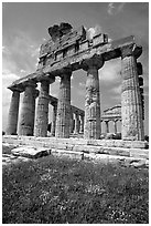 Ruins of Greek Temple of Ceres. Campania, Italy (black and white)