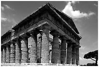 Tempio di Nettuno (Temple of Neptune), a Greek temple (5th century BC). Campania, Italy ( black and white)