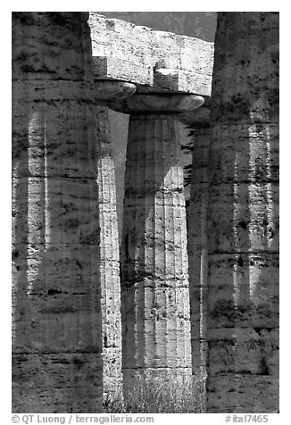 Columns of Temple of Neptune in Doric style. Campania, Italy (black and white)