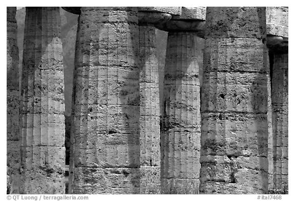 Doric columns of Tempio di Nettuno. Campania, Italy (black and white)