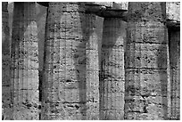 Doric columns of Tempio di Nettuno. Campania, Italy (black and white)