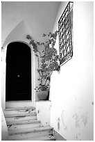 Door, red flowers, white walls, Positano. Amalfi Coast, Campania, Italy (black and white)