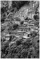 Cliffs and hillside terraces cultivated with lemons. Amalfi Coast, Campania, Italy (black and white)