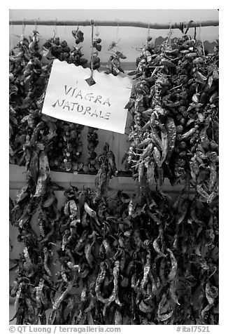 Natural Viagra. Amalfi Coast, Campania, Italy (black and white)