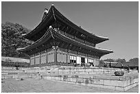 Throne Hall, Changdeokgung Palace. Seoul, South Korea (black and white)