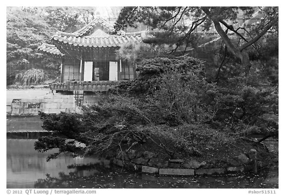 Buyongji, pond, trees, and canvas, Changdeok Palace. Seoul, South Korea (black and white)