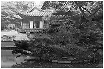 Buyongji, pond, trees, and canvas, Changdeok Palace. Seoul, South Korea (black and white)