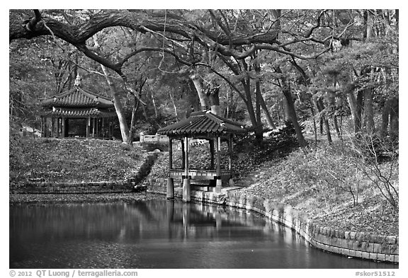 Pond in autumn, Changdeokgung Palace gardens. Seoul, South Korea (black and white)