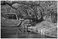 Pond in autumn, Changdeokgung Palace gardens. Seoul, South Korea (black and white)