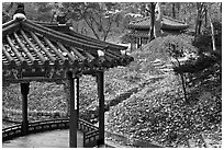 Pavilions in autumn, Changdeok Palace gardens. Seoul, South Korea ( black and white)