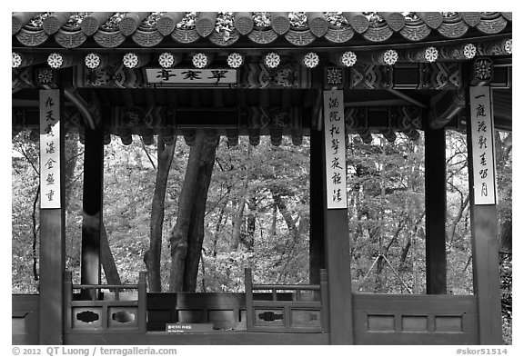 Gazebo in autumn, Ongnyucheong, Changdeokgung gardens,. Seoul, South Korea (black and white)