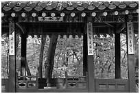 Gazebo in autumn, Ongnyucheong, Changdeokgung gardens,. Seoul, South Korea ( black and white)