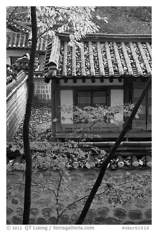 Bright autumn leaves and traditional architecture, Yeongyeong-dang, Changdeok Palace. Seoul, South Korea (black and white)