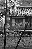 Bright autumn leaves and traditional architecture, Yeongyeong-dang, Changdeok Palace. Seoul, South Korea ( black and white)