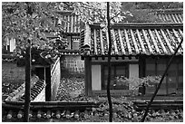 Fall foliage and historic architecture, Yeongyeong-dang, Changdeokgung Palace. Seoul, South Korea ( black and white)