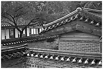 Wall and rooftop details, Yeongyeong-dang, Changdeok Palace. Seoul, South Korea ( black and white)