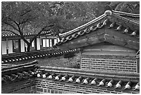 Wall and rooftop details, Yeongyeong-dang, Changdeok Palace. Seoul, South Korea (black and white)